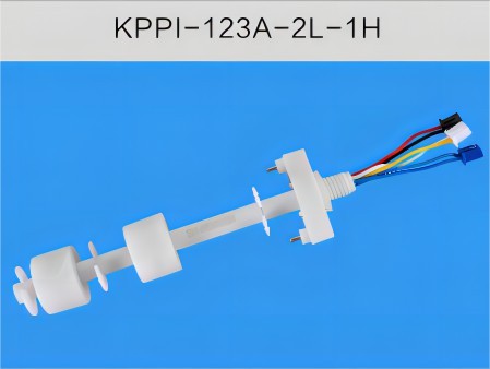 123A(1)